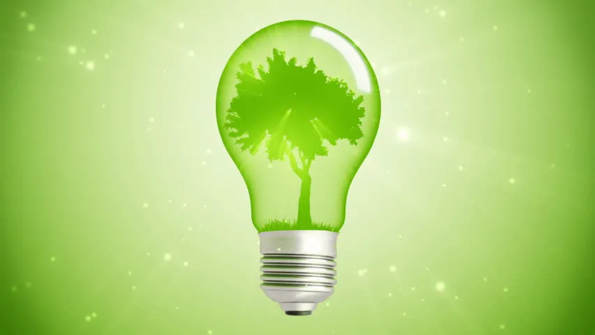 groene-lamp-1783420169881.webp